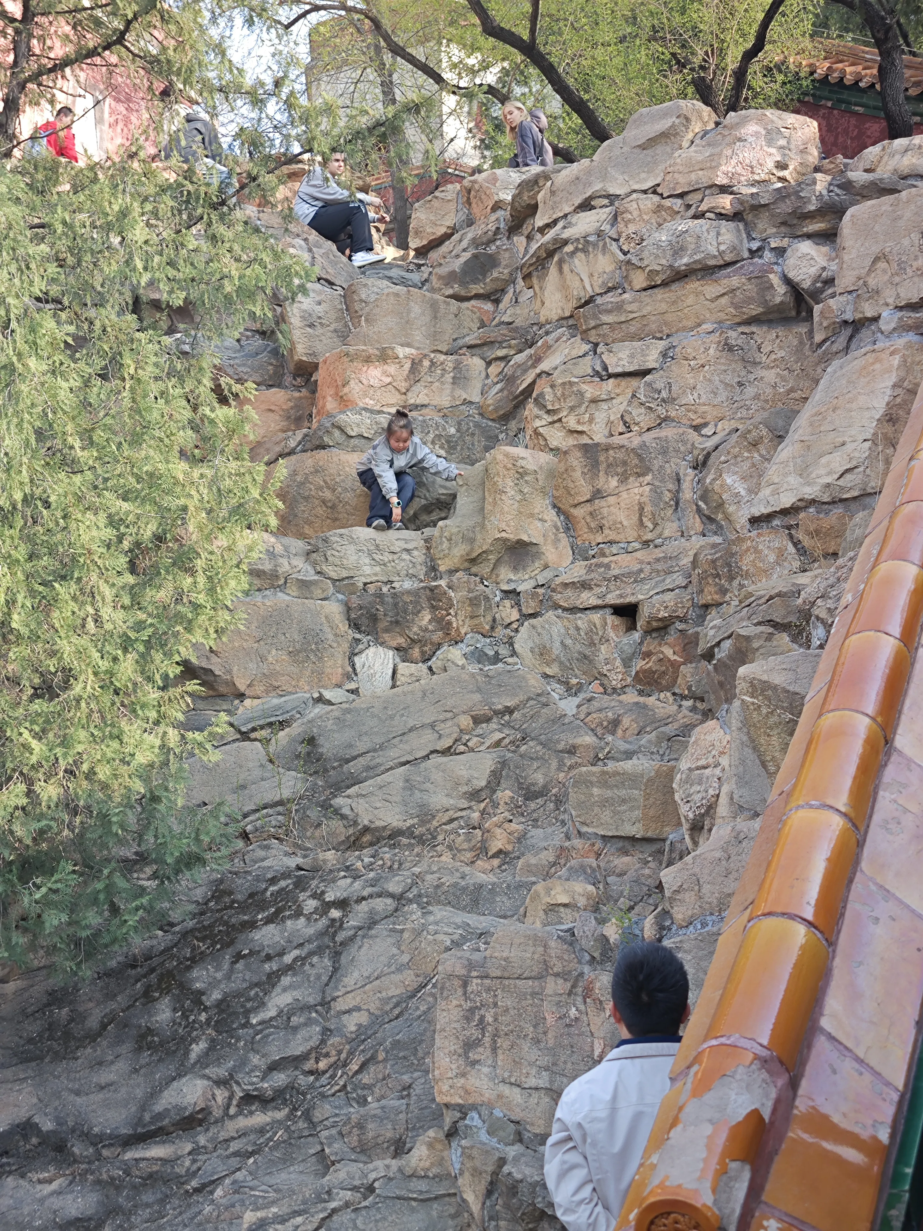 小孩姐太有实力了，直接从山上爬下来